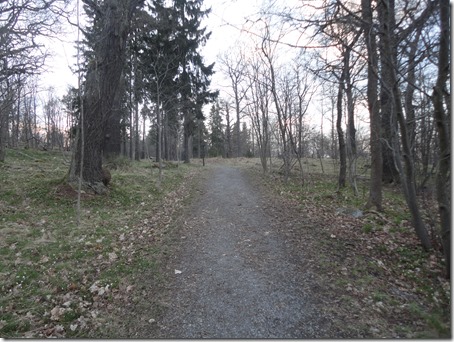 Trails through the woods in Djurgården near Lappis